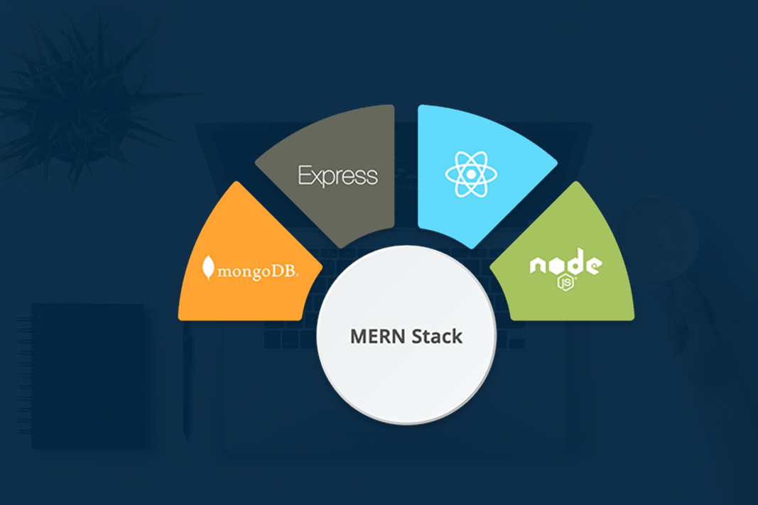 mern stack course